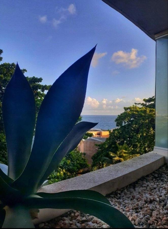 Studio Encantador Em Ondina Salvador Bagian luar foto